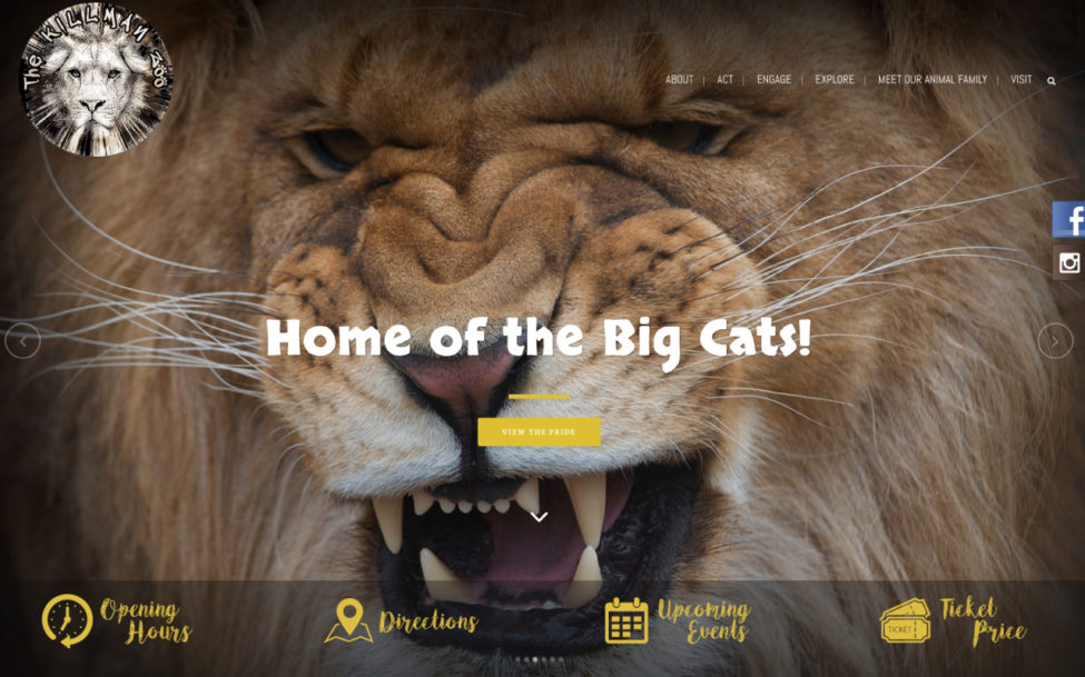 web design hamilton for Killman-Zoo