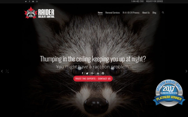 web design hamilton for raider-wildlife