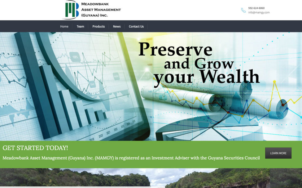 web design hamilton for Meadowbank Asset Management