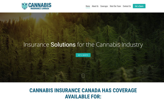 web design hamilton for cannabis-insurance-canada