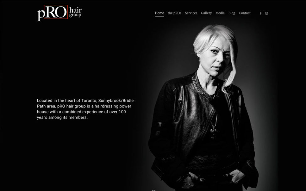 web design hamilton for pRO Hair Group