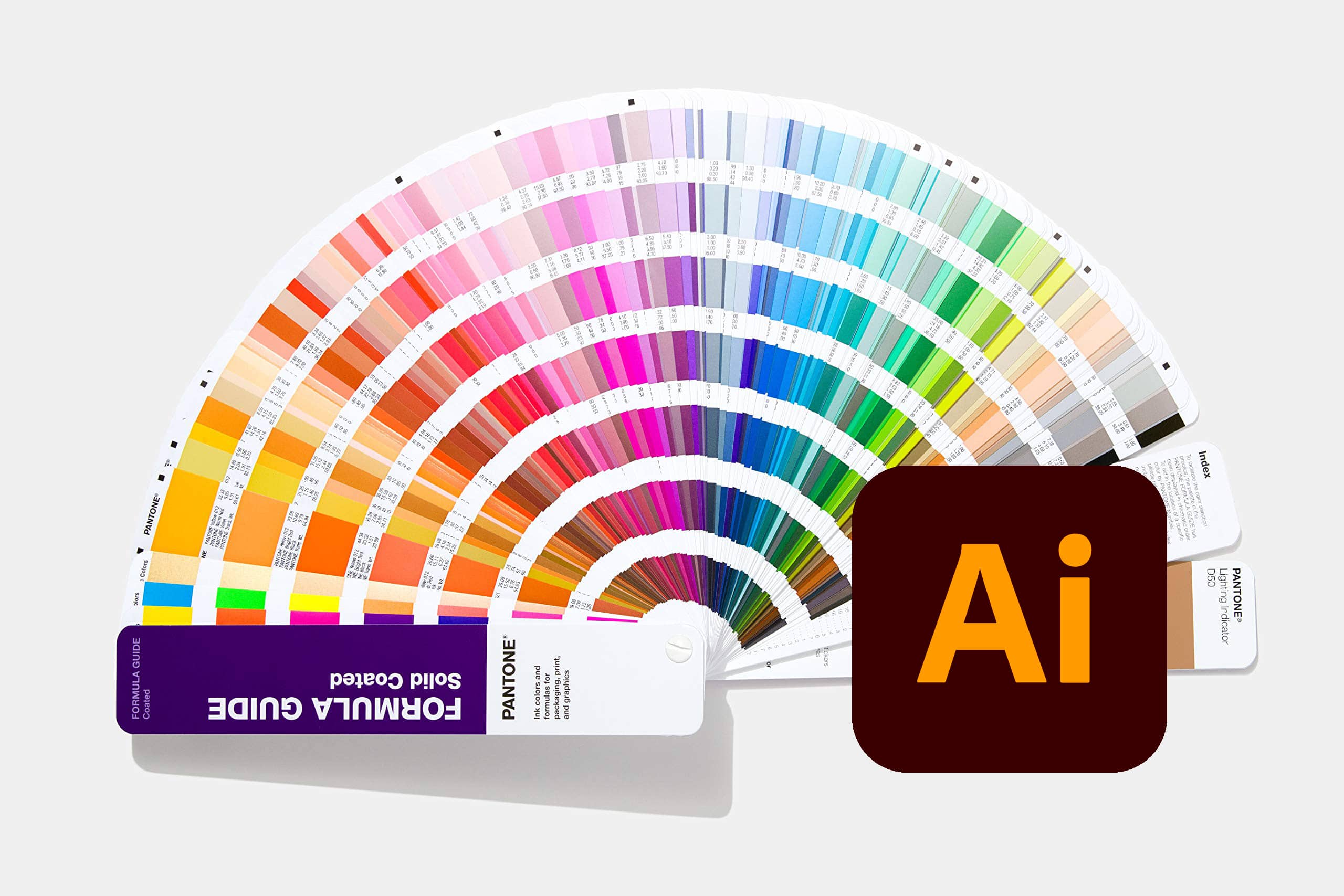 How to use PMS colours in Illustrator 2023 Web Design, Graphic Design